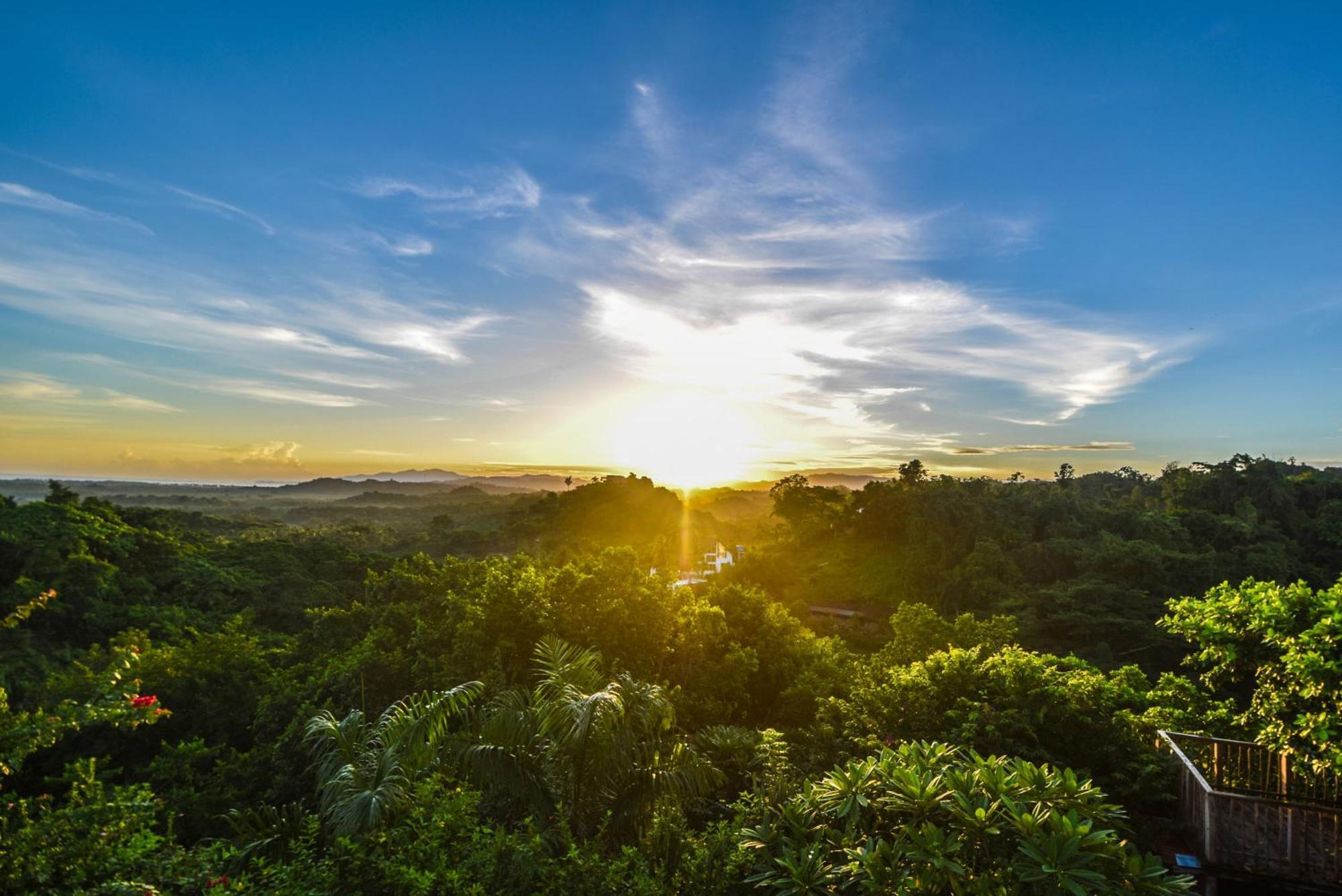 Clave Verde Ecolodge Las Terrenas Eksteriør billede