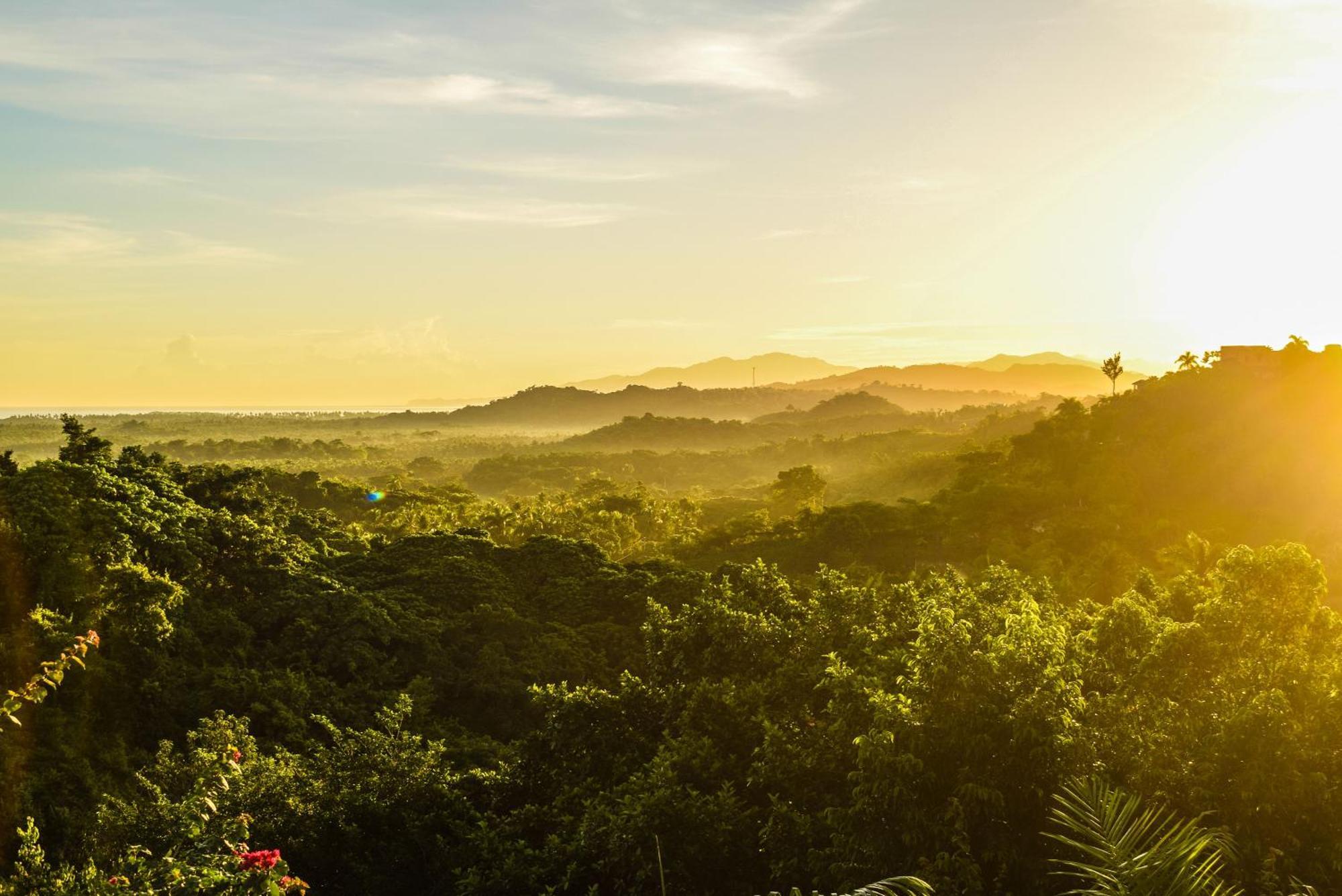 Clave Verde Ecolodge Las Terrenas Eksteriør billede
