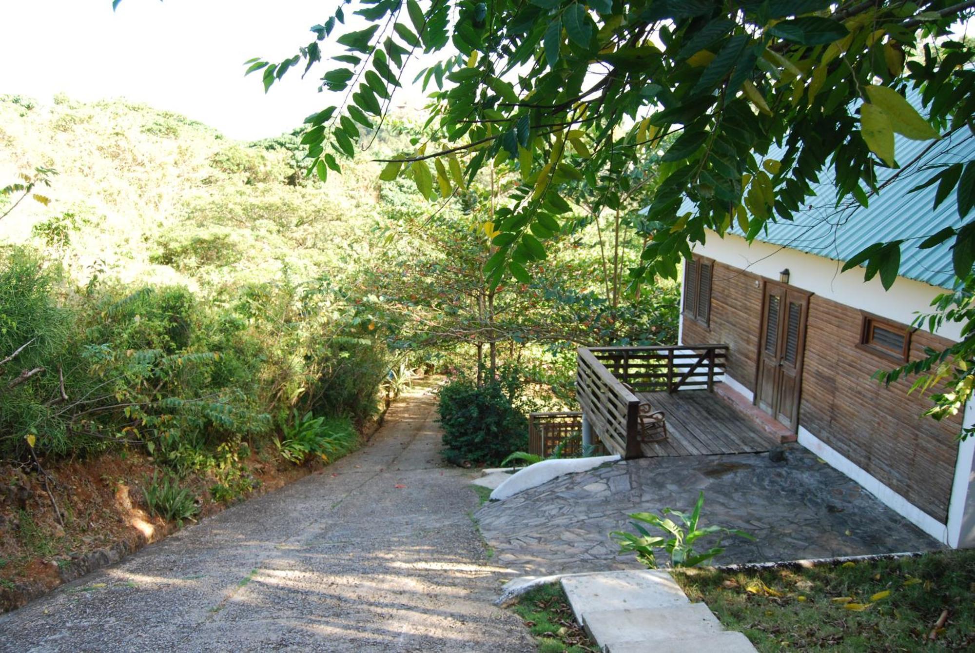 Clave Verde Ecolodge Las Terrenas Værelse billede