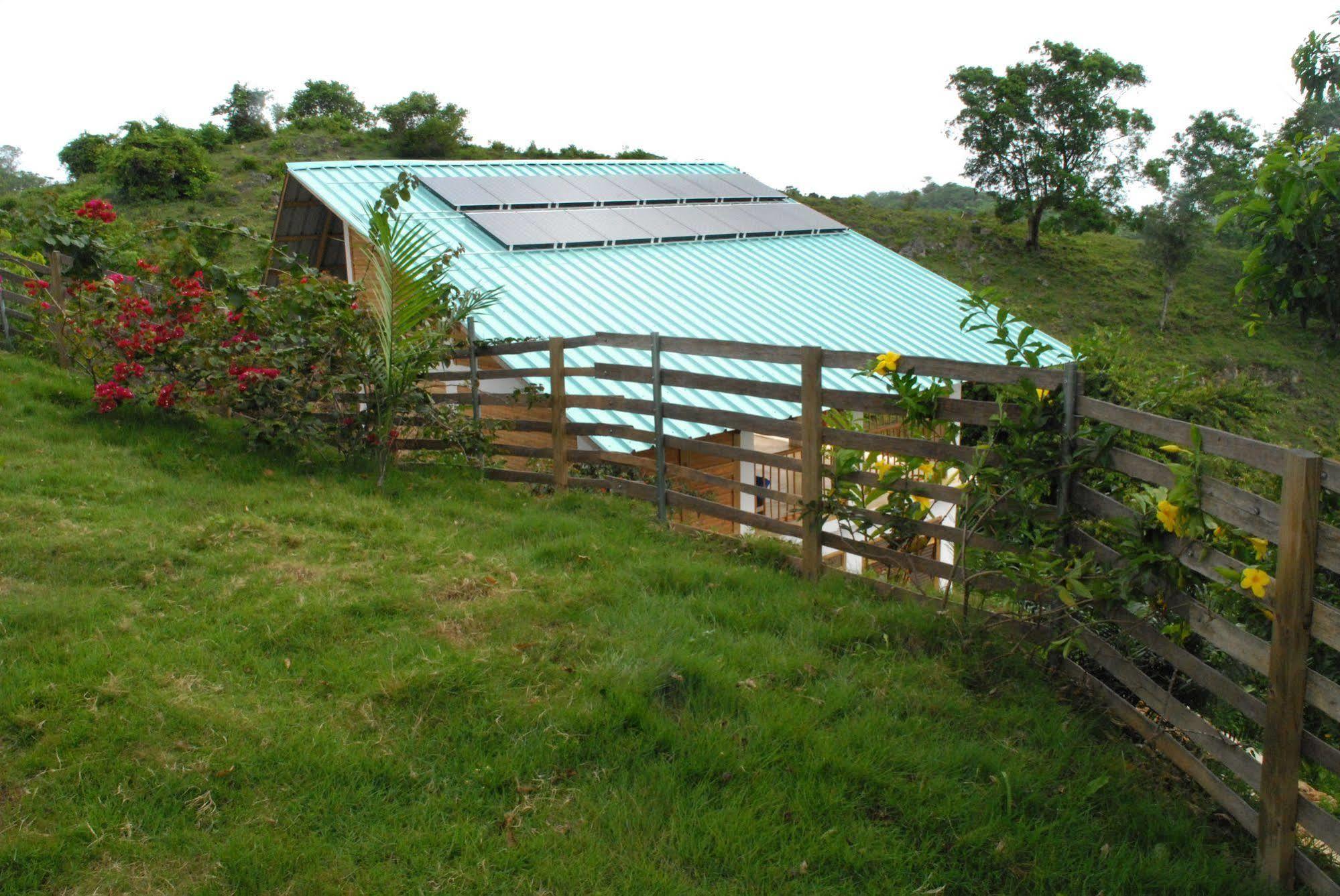 Clave Verde Ecolodge Las Terrenas Eksteriør billede