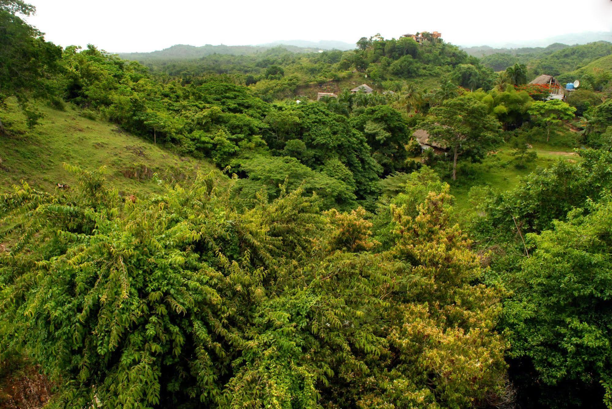 Clave Verde Ecolodge Las Terrenas Eksteriør billede