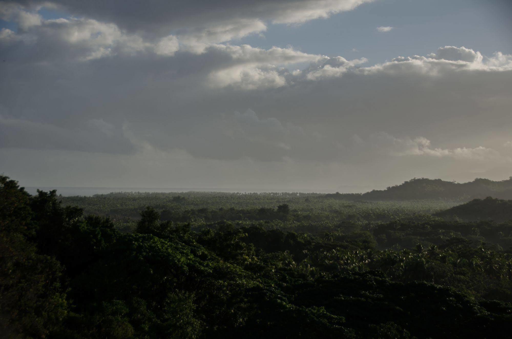Clave Verde Ecolodge Las Terrenas Eksteriør billede