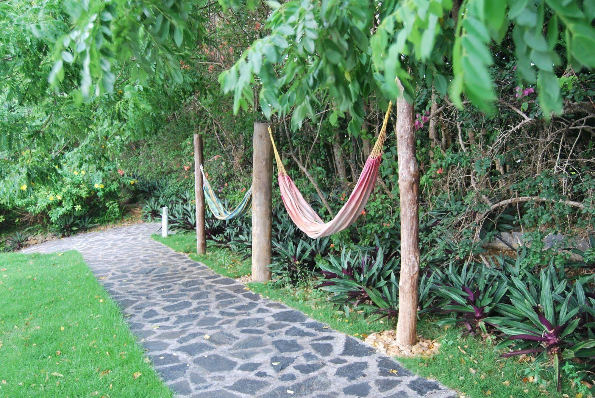 Clave Verde Ecolodge Las Terrenas Eksteriør billede