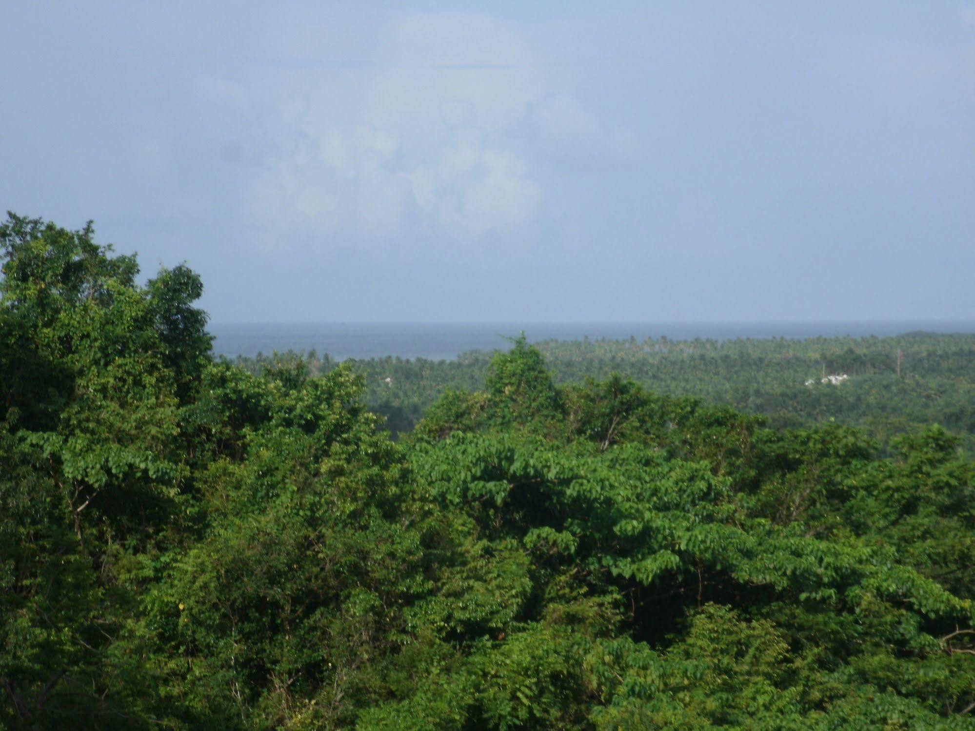 Clave Verde Ecolodge Las Terrenas Eksteriør billede